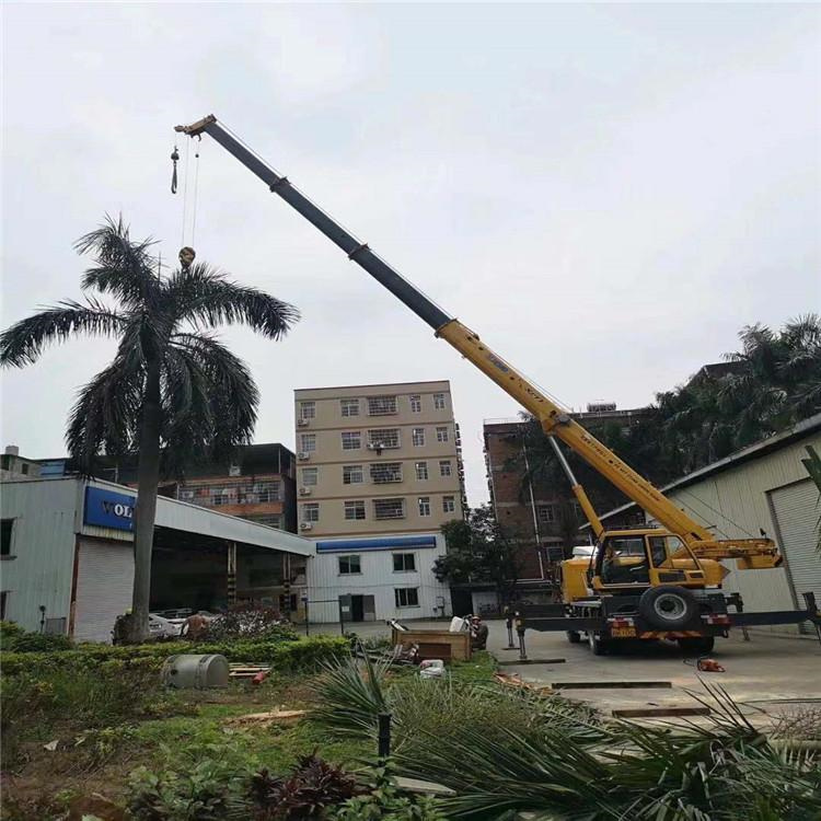 同安吊车出租的费用解析：你不可不知的行业秘密